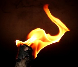 feu flamme bois énergie