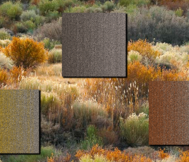 Dalles de moquette recyclables