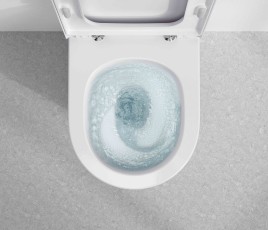 Chasse d'eau giratoire