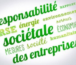 RSE et nuage de mots.