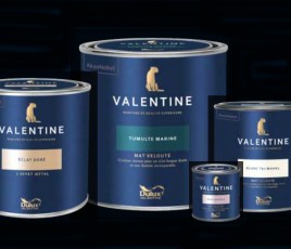 Peinture d'intérieur