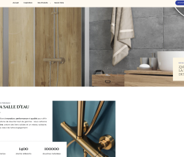 Site internet de Zaleoo, réseau de franchise en sanitaire.