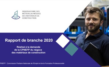 FDMC Rapport de branche 2020
