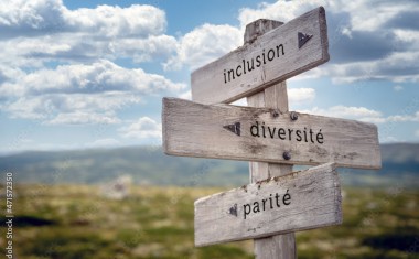 Inclusion, diversité & parité.