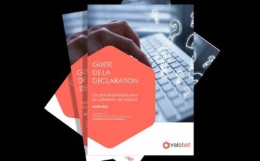 Valobat - Guide de déclaration.