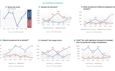 Indicateurs d'opinion CGF