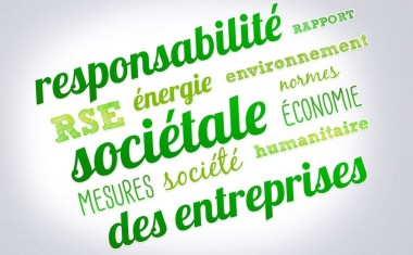 RSE et nuage de mots.