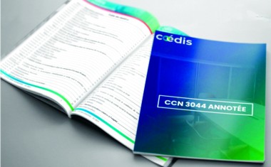 Convention collective de Coédis - Version annotée.