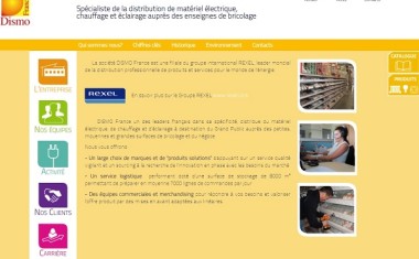 Site internet de Dismo.