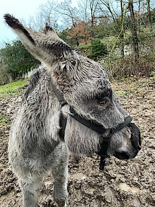 Yoann Codina, un adhérent DomPro ami de la nature