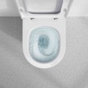 Chasse d'eau giratoire