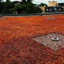 Evacuation des eaux pluviales